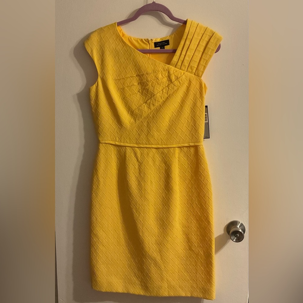Beautiful Tahari Size 6 Women’s dress NWT’s